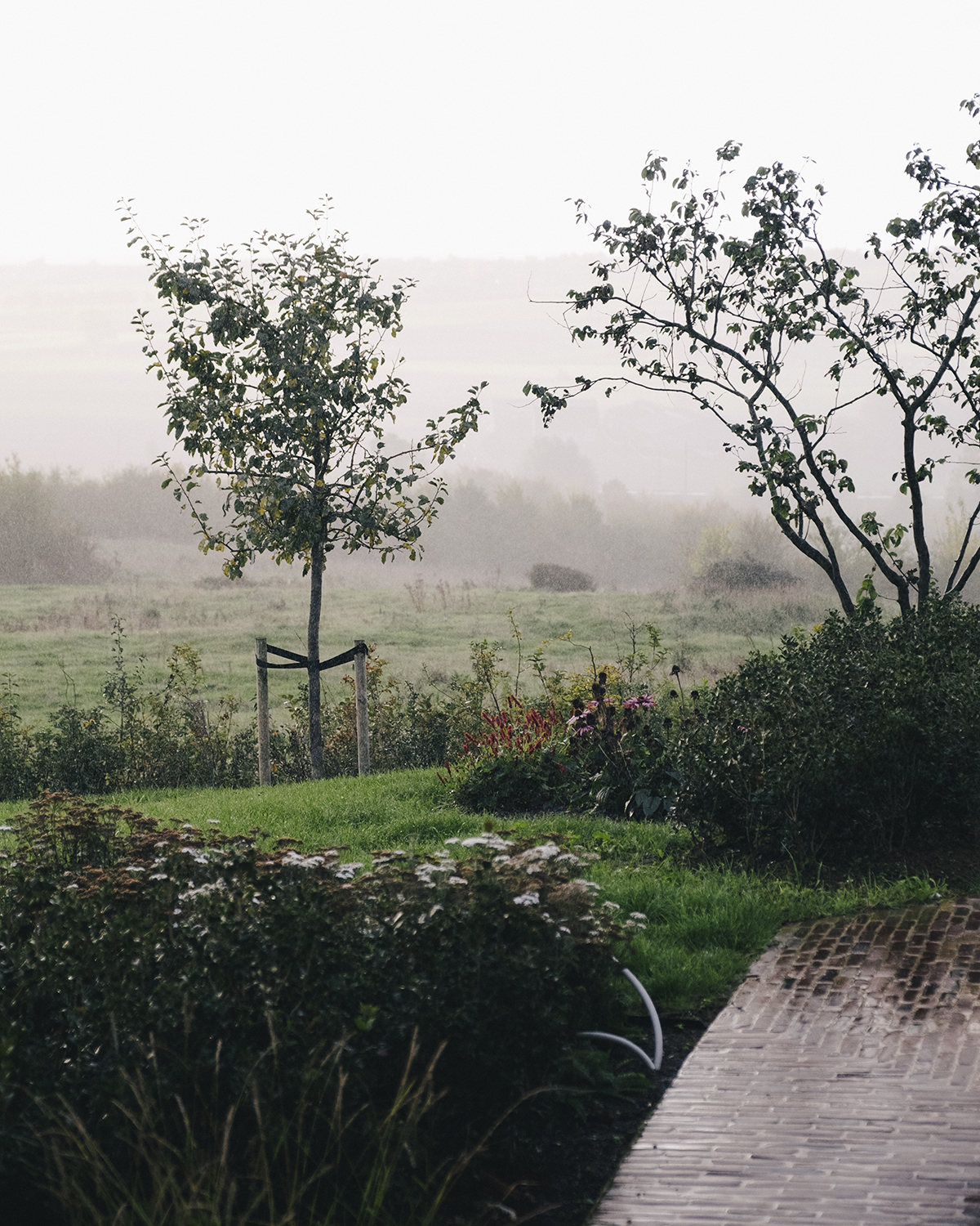 The Shepherds Farm - vakantiehoeve Kemmelberg