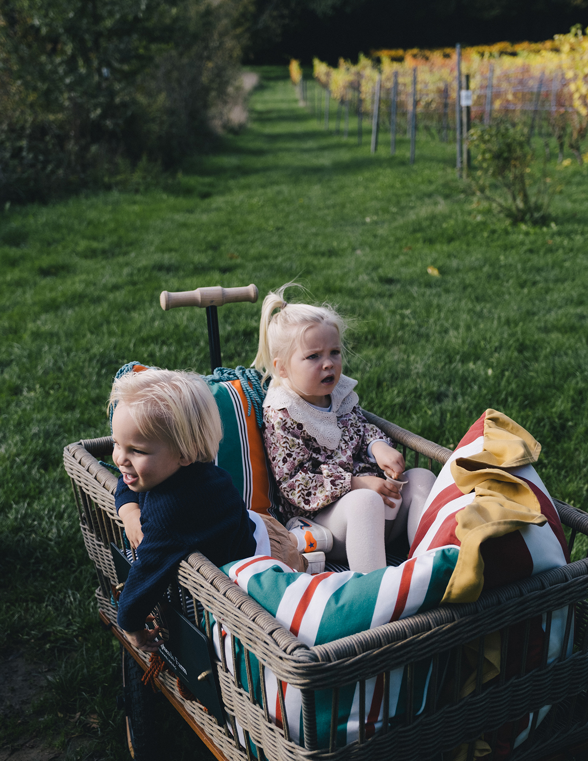 The Shepherds Farm - vakantiehoeve Kemmelberg