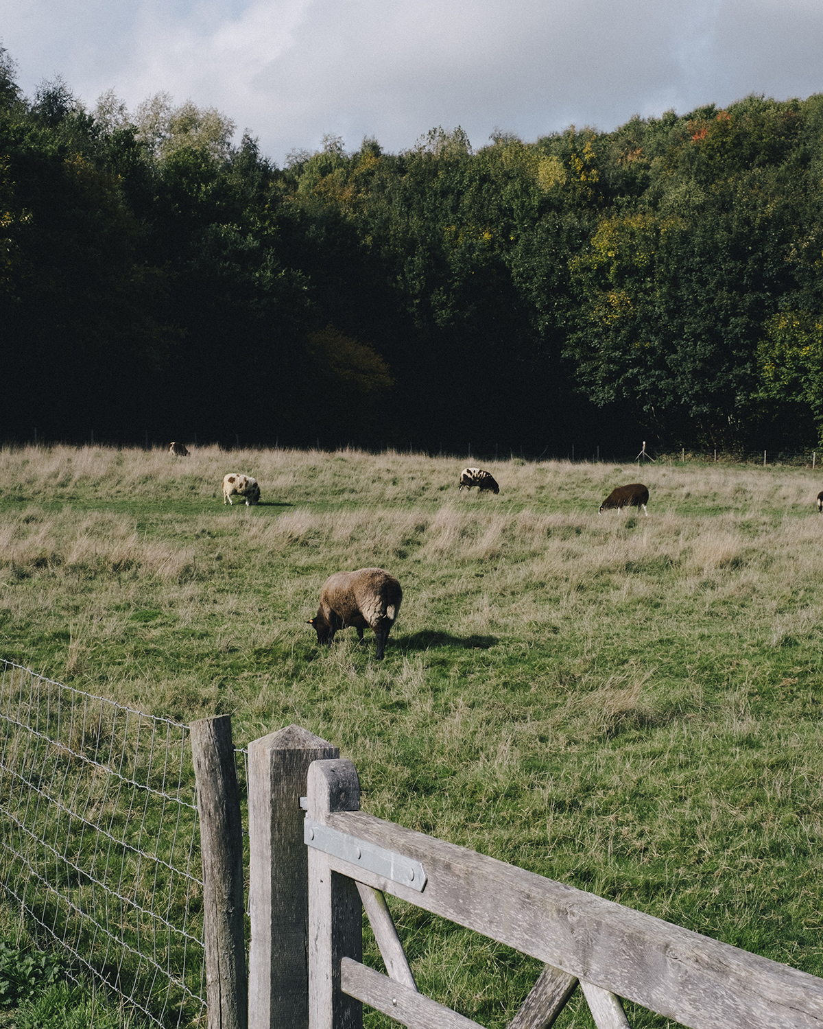 The Shepherds Farm - vakantiehoeve Kemmelberg